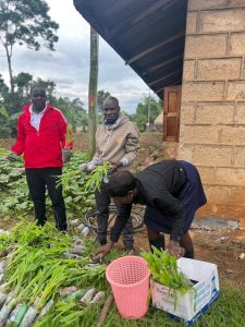 Caritas MADDO Innovation: Building Farmer Resilience Against Climate Change